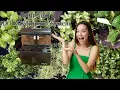 Setup Your iDOO Hydroponic System Step-by-Step Live