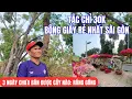 Lagu 3 NGÀY CHƯA BÁN ĐƯỢC CÂY NÀO - Chợ hoa công viên Gia Định.