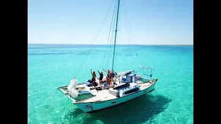 Swimming in a feeding frenzy of sharks!