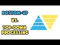 Download Lagu Bottom-up vs. Top-down processing | Explained in 2 min