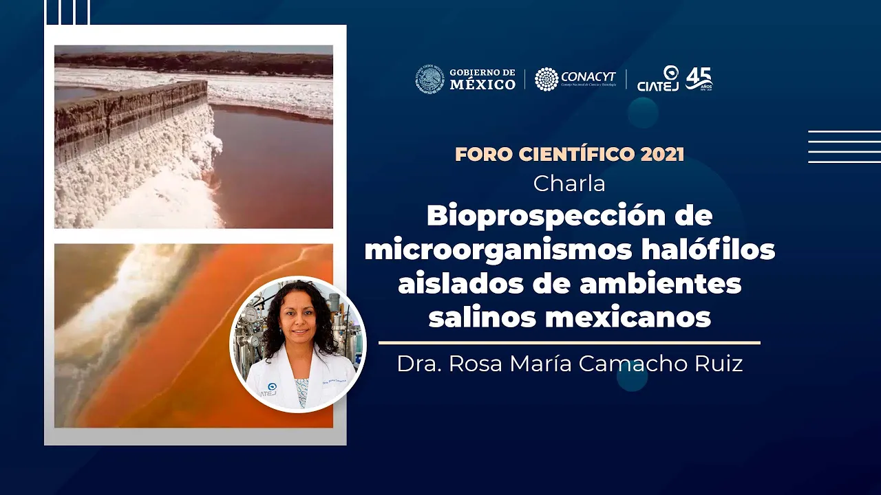 Bioprospección de microorganismos halófilos aislados de ambientes salinos mexicanos