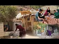 Download Lagu Gulbas Khanum's meeting with the Hawk family in the village👩‍❤️‍👩
