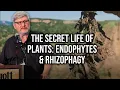 Dr James White How Endophytes and Rhizophagy Transform Crop Growth