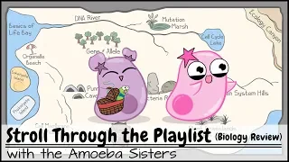 Stroll Through the Playlist a Biology Review