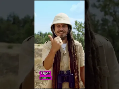 PACI PAC – Levík Leo 🦁 | Veselá pesnička pre deti | Shorts