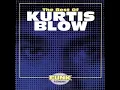 Kurtis Blow - Basketball