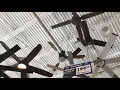 Hunter Apache 54 Ceiling Fan at Menards