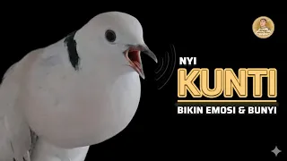 100 manjur untuk pancingan puter pelung suara kuntilanak menangis sedih sekali puterpelung