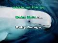 Baby Beluga
