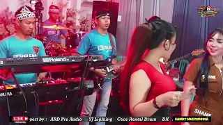 all artis the celeng ayoo leee