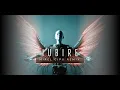 Download Lagu 3 Sud Est - Iubire (Mirel Cipu Remix)