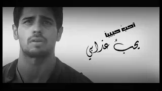 أحب حبيبا يحب عذابي ᴴᴰ 