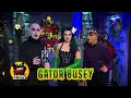 Swamp Thing Coming up on House of Svengoolie on MeTV
