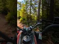 Trail riding the Pentora 200 efi at Shelton Dirt Riders