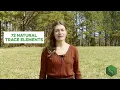 How to Keep Your Lawn Healthy Throughout the Summer with Omega Soil Activator