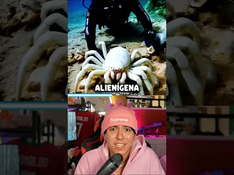 ESSAS CRIATURAS MARINHAS VÃO TE FAZER TER MEDO DO MAR 😱