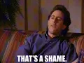 THAT S A SHAME GIF