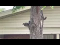 Welcome to Our Home Sweet Home Quiet Pines Moody AFB Housing Valdosta GA