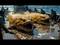 Hunting 500KG Deep Sea Monsters – Experience the thrill of catching giant Moray eels