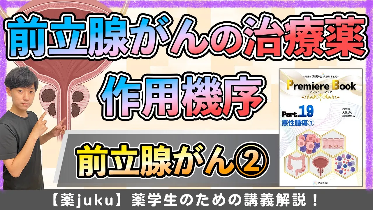 【LH-RHアナログ製劑やアンドロゲン受容體遮斷藥】前立腺がんの治療藥を徹底解説!