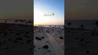 سينا بلادي Sinai اكسبلور جديد ترند تراث الأجداد سيناء 