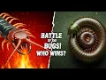 Millipedes vs Centipedes - Who Would Win a Fight