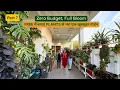 Lagu Zero Budget, Full Bloom | Free में बनाएं Plants से भरा एक खूबसूरत गार्डन