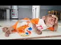 Download Lagu Monkey Su and his cute new Friends!