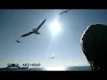 Revcol - Arti hidup