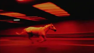                               كريم مورجان   واقف مكاني                  دندنها