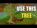 NEW Forestry Guide - Fastest Method In-Game