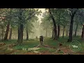 Lex de Kalhex - Rain Forest