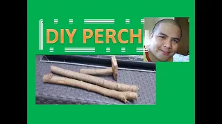 Download DIY PERCH \u0026 SET-UP IN BIRD CAGE MP3