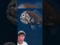Download Lagu THE OCEANS DEPTH CHARGE IS CRAZY 🎥limitswrldd #shorts