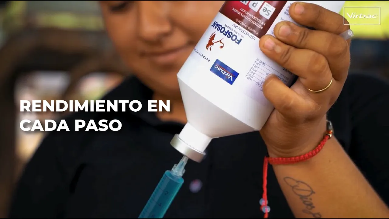 Virbac México en el Campo — Virbac — FOSFOSAN for Cattle (YouTube video ad)