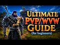 Guild Wars 2 Beginners Guide to Builds Gear Playstyle