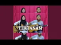 Download Lagu Tertanam