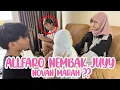 Download Lagu JUYYPUTRI NERIMA CINTANYA ALFARO?? #NGEPRANK NOVAN