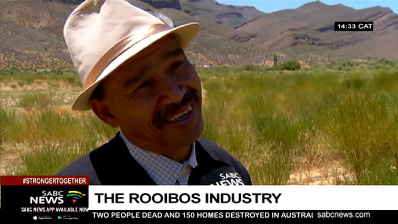 The rise of small scale Rooibos farmers in the Khoi and San communities