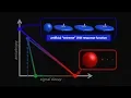 Improved white matter response function estimation for 3-tissue constrained spherical deconvolution