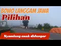 Download Lagu Bowo Langgam Jawa paling Nyamleng teman istirahat sambil lier lier