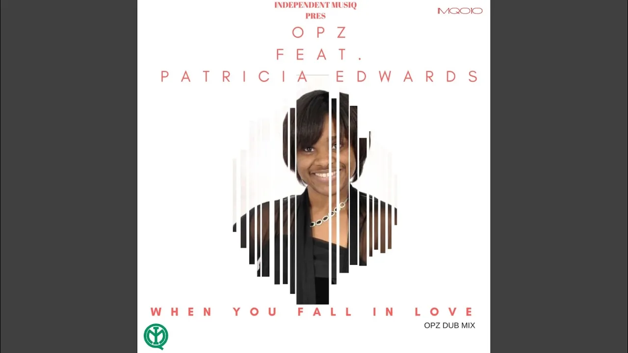 When You Fall In Love (Opz Dub Mix)