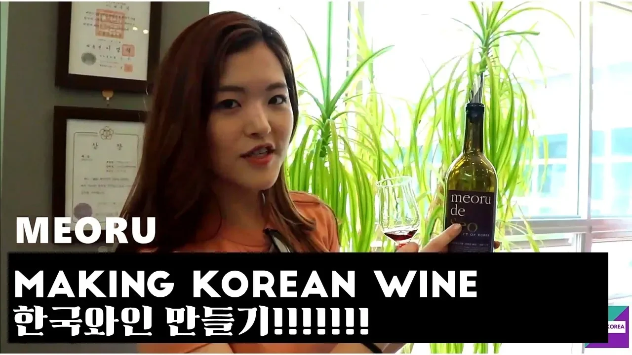 [ENG]        !  Making Korean Sanmeoru Wine []