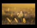 Franco Battiato - Ruby Tuesday HQ