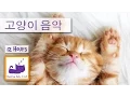 Download Lagu 슬리피 애완 동물 애완 동물 치료 음악 : 고양이 편안한 음악