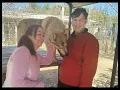 Mark Sosa Amanda in NJ with Wolf Dogs at the Howling Woods Farm April 2025