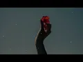Sido - Liebe (Lyrics) | nieverstehen