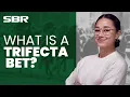 What is a Trifecta Bet Horse Racing Bets