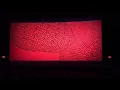 Black Panther - Best Audience Reaction (End Credits Roll)
