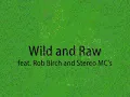 Fedde Le Grand - Wild and Raw